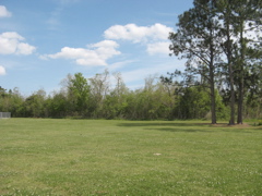 Grounds2.JPG