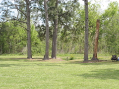 Grounds.JPG