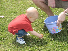 EggPicking.JPG